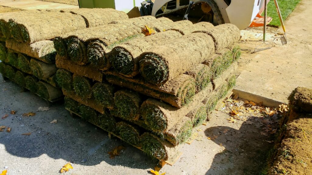 Natural grass stacks of sod rolls for new lawn