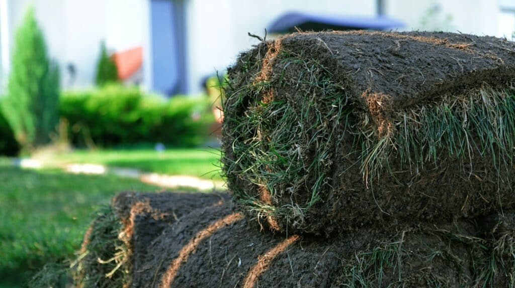 /Nominated/ Rolled lawn against the backyard landscape of a country house.