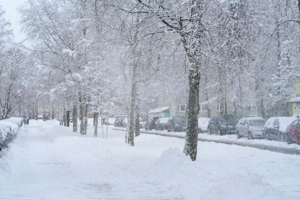 Snowing in Tallinn city