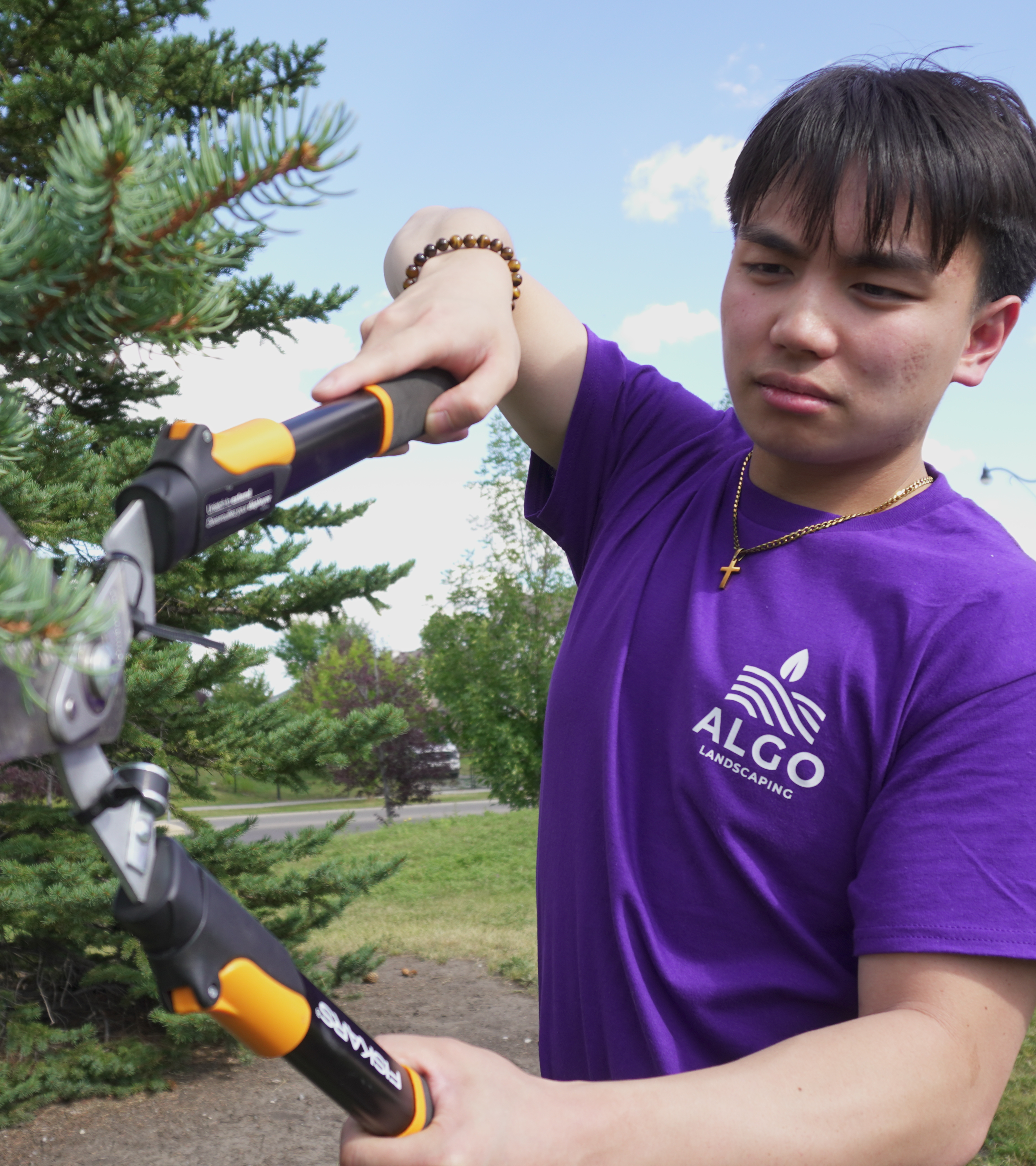 Professional landscaper trimming bushes with hand shears as part of property maintenance in Calgary, Alberta.