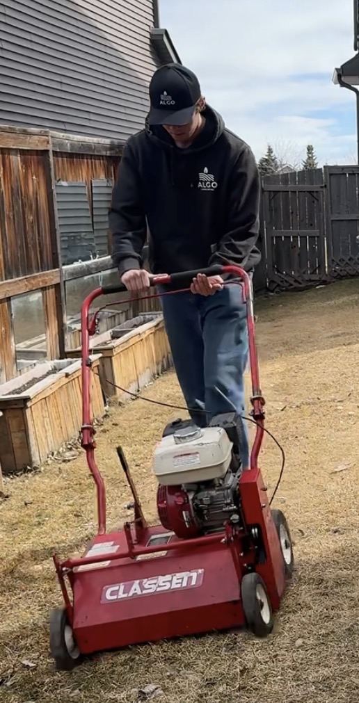 Algo Landscaping technician performing power raking service in Calgary