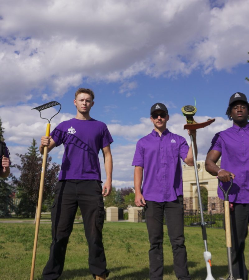 Algo Landscaping Crew Pictured in Calgary Alberta